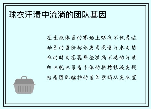 球衣汗渍中流淌的团队基因
